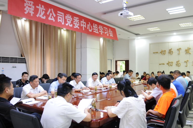 舜龍公司召開“講忠誠、嚴紀律、立政德”專題警示教育動員會